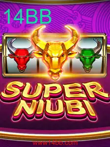 Uma Viagem ao Mundo de SuperNiubi e a Estratégia 14BB